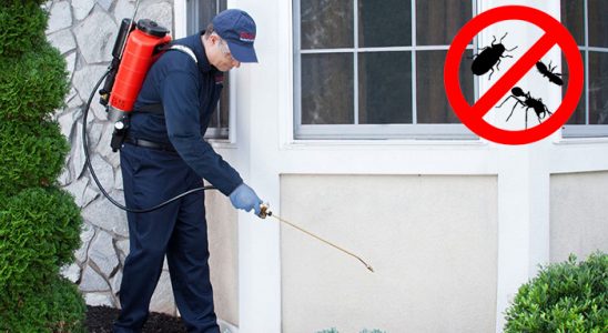 Yalova Pire İlaçlama böcek ilaçlama ve haşere kontrolü — ilaclama-tr.com